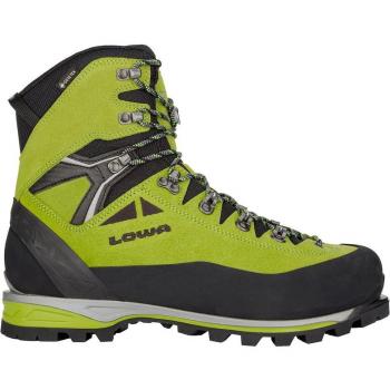 Lowa Botas Alpine II Expert GoreTex
