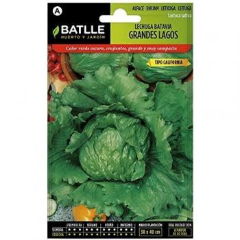 Semillas Hortícolas - Lechuga Batavia Grandes Lagos