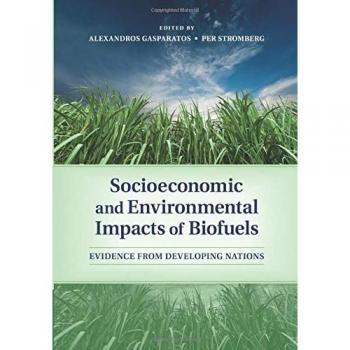 Impactos Socioeconómicos y Ambientales de los Biocombustibles: Evidencia de Naciones en Desarrollo