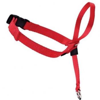 Croci C5066230 Petsafe Collare