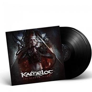 The shadow theory [Vinilo]