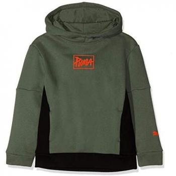 PUMA Style Hoody B Sudadera, Niños, 851890, Laurel Wreath, 128