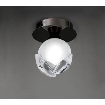 Lámpara de techo Fragma 1 Bombilla G9, cromo negro
