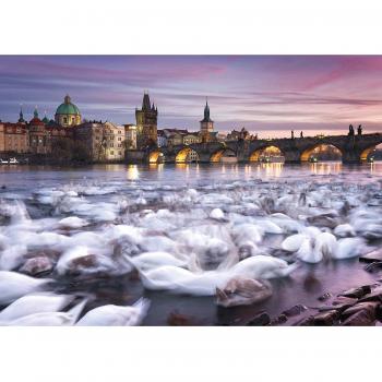Puzzle Schmidt Spiele 1000 piezas - Christian Ringer: Prague - Cisnes