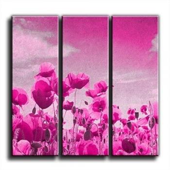 Lienzo paisaje lienzo impreso, Caja de flores de cultura - cuadro con marco 31, Rosa, 45x45cm