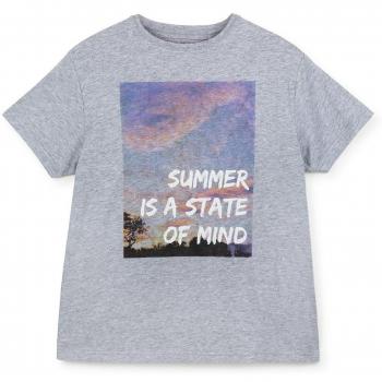 Gocco S74TCCNV204, Camiseta para Niños, Gris