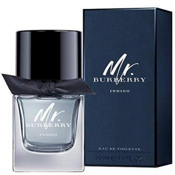Mr. Burberry Indigo Eau De Toilette 50ml