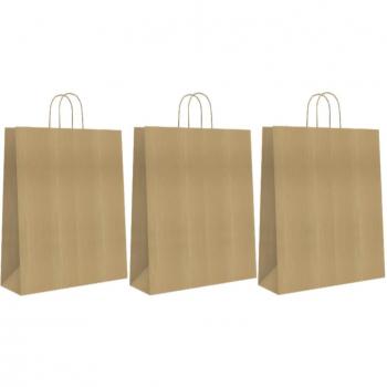 Bolsa Regalo ANDINA Kraft Oro, 24 x 10 x 32 cm. Pack x25