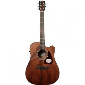 Ibanez AW54CE-OPN Artwood Open Pore Natural Electric Acoustic Guitar
