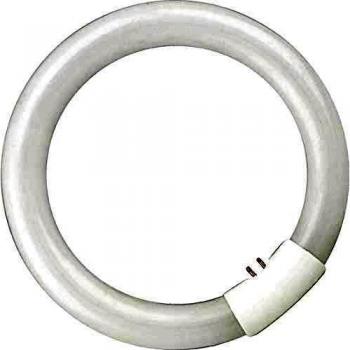 Tubo circular fluorescente T9 305MM 32W 6400K