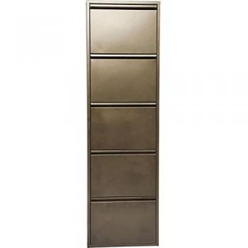 Zapatero de acero bronce Caruso con 5 compartimentos para 10 pares de zapatos, montaje en pared, dimensiones 170 x 50 x 15 cm