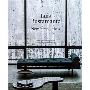 LUIS BUSTAMANTE: New Perspectives