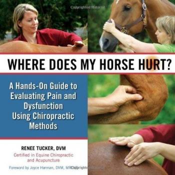Where Does My Horse Hurt? A HandsOn Guide to Evaluating Pain and Dysfunction Using Chiropractic Methods Tucker Renee