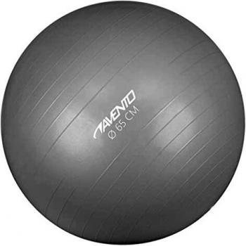 Avento 65 cm Silver Anti-Burst Fitness Ball