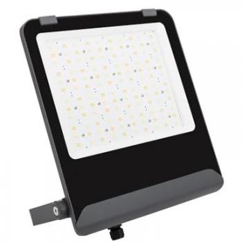 Foco Proyector LED 200W Elite Seleccionable CCT 160 lm/W IP65 (3000K - 4000K - 6500K) 120º