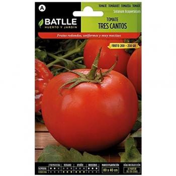 Tomate TRES CANTOS