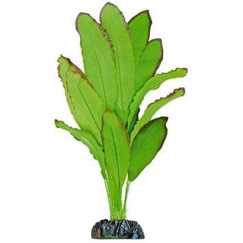 ICA AP1110 Planta de Seda Echinodorus Spidemet