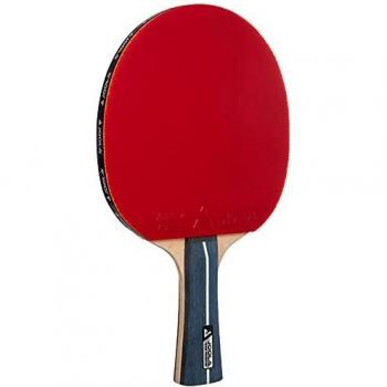 Raqueta de Tenis de Mesa JOOLA Team Premium 5 Estrellas