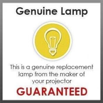 Optoma Projector Lamp **Original**, SP.8VH01GC01