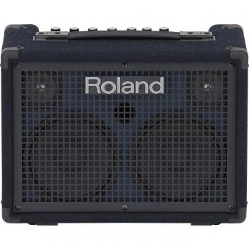 Roland KC-220 30W Battery Powered Keyboard Amplifier