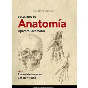Cuadernos De Anatomía. Aparato Locomotor. extremidad Superior. Cabeza y cuello: Vol. II Extremidad superior. Cabeza y cuello: 298