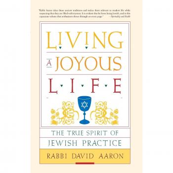 Living a Joyous Life: The True Spirit of Jewish Practice - Paperback Edition