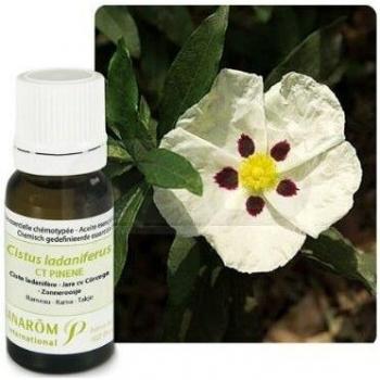 ACEITE ESENCIAL JARA DE CORCEGA 5ML PRANAROM