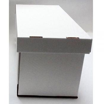 1 x cartón blanca para guardar o para Archive caja con capacidad para hasta 200 x 17,78 cm para discos de Vinilo Discos de