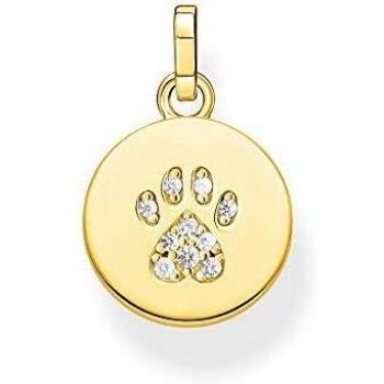 Colgante Medalla Pata de Gato en Plata 925 Bañada en Oro 18k