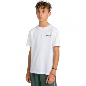Camiseta Element Joint Cube Ss