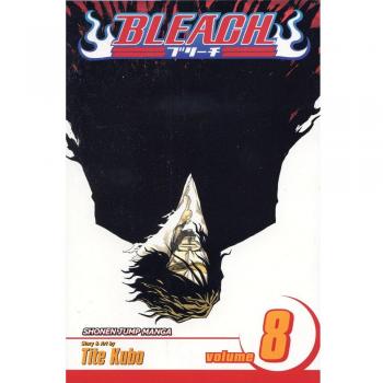 Bleach: v. 8