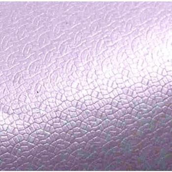 vidaXL Película Autoadhesiva Cubierta Interior Coche Impermeable Blanco Mate
