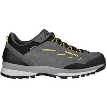 Lowa Delago GTX Low Men's Hiking Shoes - Grey Suede, Size 43½