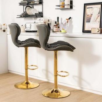 Adjustable and Padded Bar Stool Set (2-Piece)