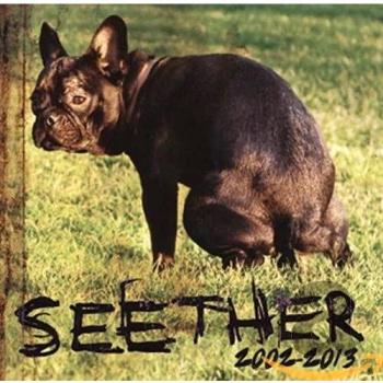 Seether: 2002-2013