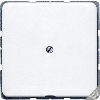 JUNG 590 A Cream Central Cover Plate Cable Entry Module