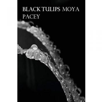 Tulipanes Negros Elegantes