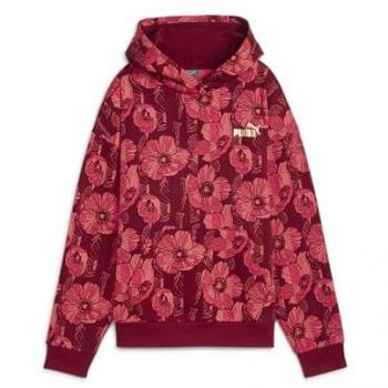 Puma Essentials+ Class Act Women's Hoodie Comfort Fit