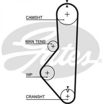 Correa dentada GATES Timing Belt 5149XS, compatible con motores de vehículos, fabricada en goma de alta calidad, resistencia a la abrasión y al desgaste, diseñada para una larga duración y un rendimiento óptimo, medidas específicas para