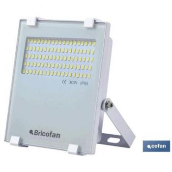 Proyector Compacto Multi Led SMD Blanco 30W