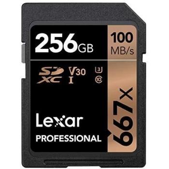 256gb Prof. 667x SD ush-i