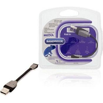 Cable USB de carga y sincronización USB A macho - macho Lightning de 8 pines de 0,10 m en color negro