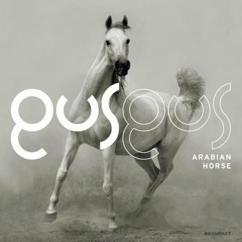 Arabian horse vinyl