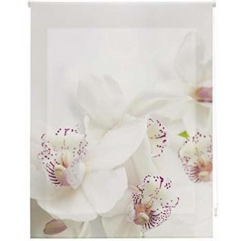 Homeflex Storalia - Estor Digital Salon orquidea - Enrollable - 150X180 cm - Disponible en Varias Medidas
