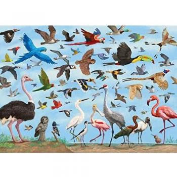 All The Birds 1000 Piece Jigsaw Puzzle