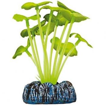 ICA AP1111 Hydrocotyle de Aquatic Plants Seda