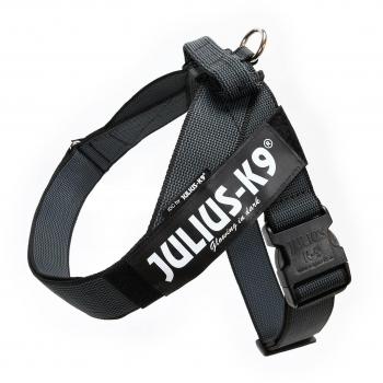Arnés Julius K9 IDC de Cinta Negro