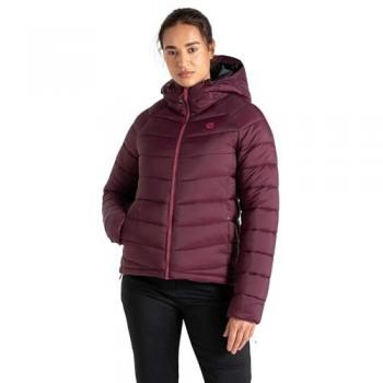 Dare 2b Women's Lightweight Baffled Hooded Jacket - Fig Purple, Size 18