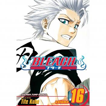Bleach Volume 16: Knight of Wijnruit