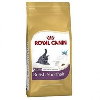 Royal Canin Feline Kitten British Shorthair 400 g, Comida para gatos, Comida seca